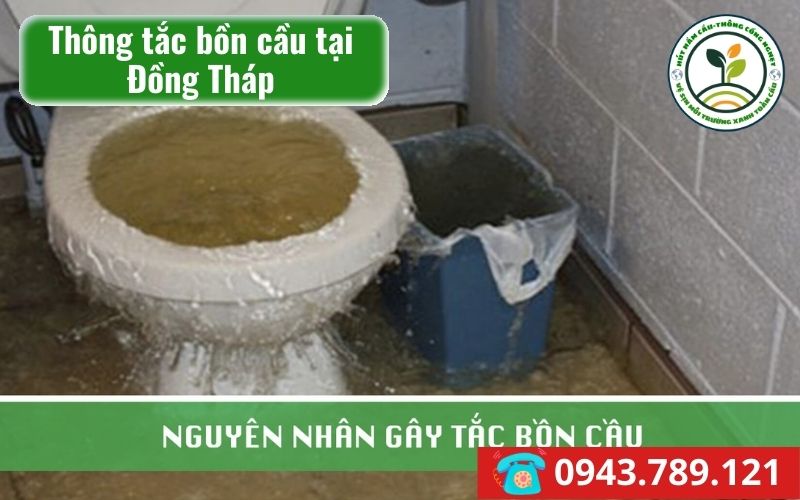 thong-bon-cau-dong-thap
