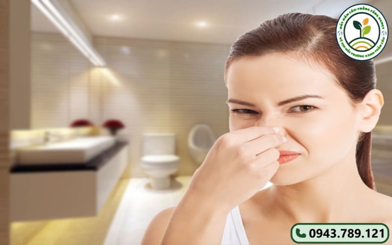 Dịch Vụ Xử Lý Mùi Hôi Tại Long An - Cam Kết Hiệu Quả 100% 6 xu-ly-mui-hoi-tai-long-an