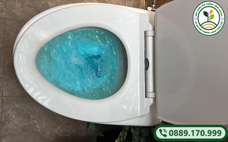 thong-tac-bon-cau-tai-dong-hung