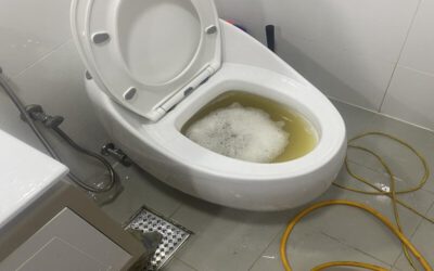 thong-tac-bon-cau-tai-quoc-oai