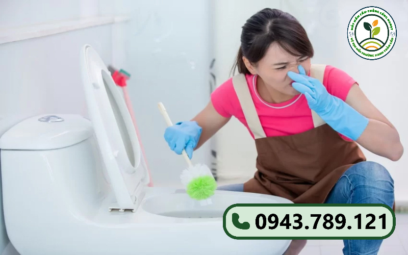 Dịch vụ thông tắc bồn cầu tại Sa Pa