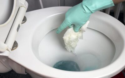 thong-tac-bon-cau-tai-thai-binh