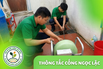Thông Tắc Cống Tại Ngọc Lặc 24/7, Nhận Ca Gấp Trong Ngày