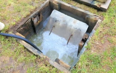 hut be phot tai bac giang 1 1