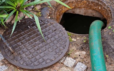 hut be phot tai tuyen quang 1