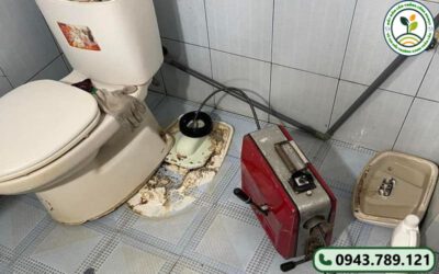 thong tac bon cau tien du 6