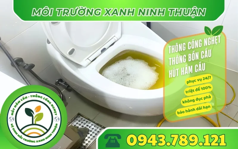 thong-bon-cau-ninh-son