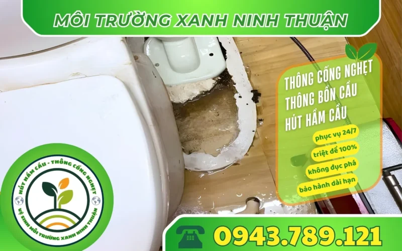 thong-bon-cau-ninh-hai