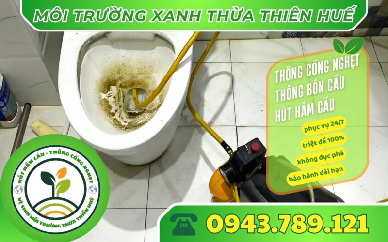 thong-bon-cau-huong-tra