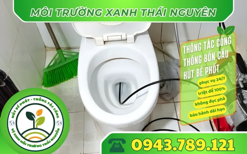 thong-tac-bon-cau-tai-dai-tu