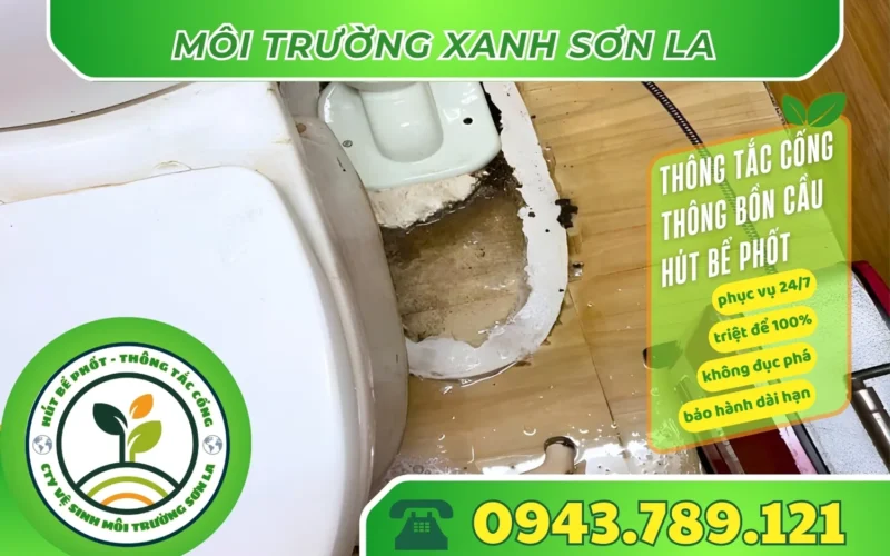 thong-tac-bon-cau-tai-song-ma