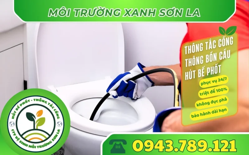 thong-tac-bon-cau-tai-van-ho