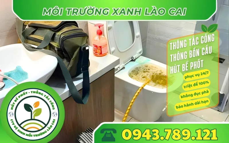 thong-tac-bon-cau-tai-si-ma-cai