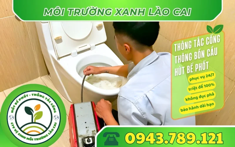 thong-tac-bon-cau-tai-si-ma-cai