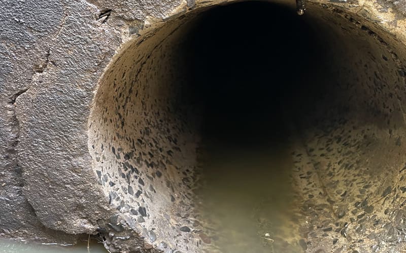 hut-ham-cau-phuong-ben-thanh