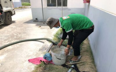 hut ham cau phuong binh hung hoa 1