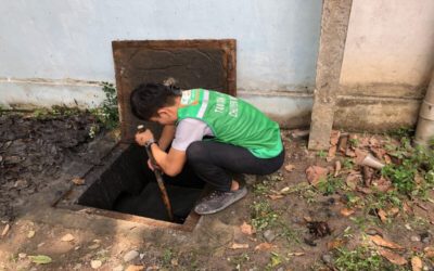 hut-ham-cau-phuong-cau-kieu