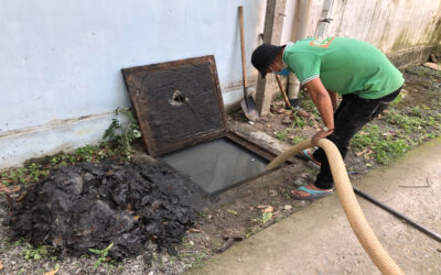 hut-ham-cau-phuong-tan-dong-hiep