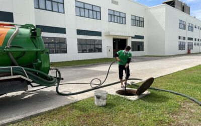 hut-ham-cau-phuong-tan-hoa