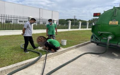 hut-ham-cau-phuong-rach-dua