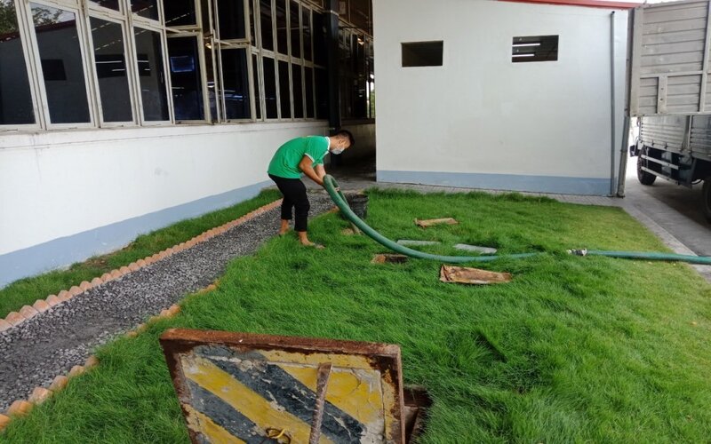 hut-ham-cau-phuong-tan-hai