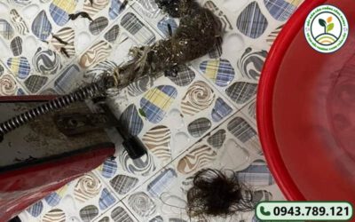 thong-cong-nghet-phuong-vuon-lai