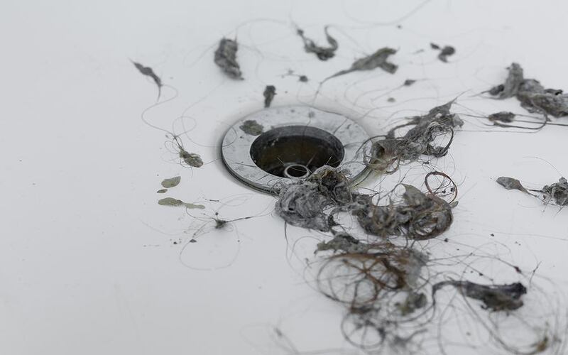 thong-cong-nghet-phuong-vuon-lai