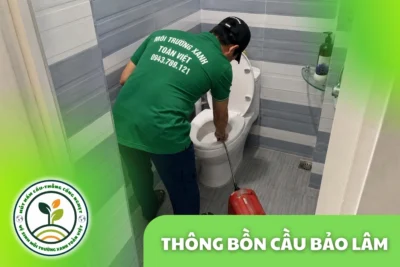 Thông Bồn Cầu Bảo Lâm | Gỡ Dị Vật, Hạn Chế Tháo Dỡ