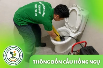Thông Bồn Cầu Hồng Ngự Đồng Tháp – Gỡ Dị Vật, Hạn Chế Tháo Dỡ