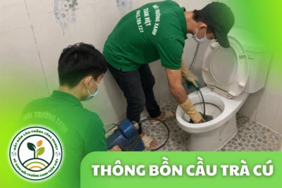 Thông Bồn Cầu Trà Cú Trà Vinh – Kiểm Tra Dị Vật Và Tuyến Chung