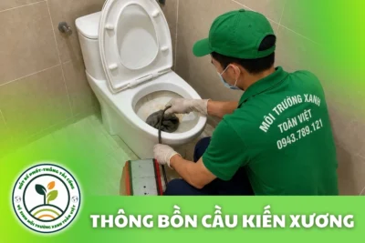 Thông Tắc Bồn Cầu Kiến Xương 24/7 | Xanh Toàn Việt