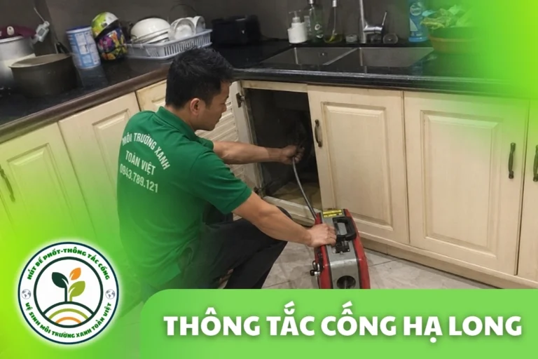Thông Tắc Cống Tại Hạ Long Quảng Ninh 24/7 | Môi Trường Xanh