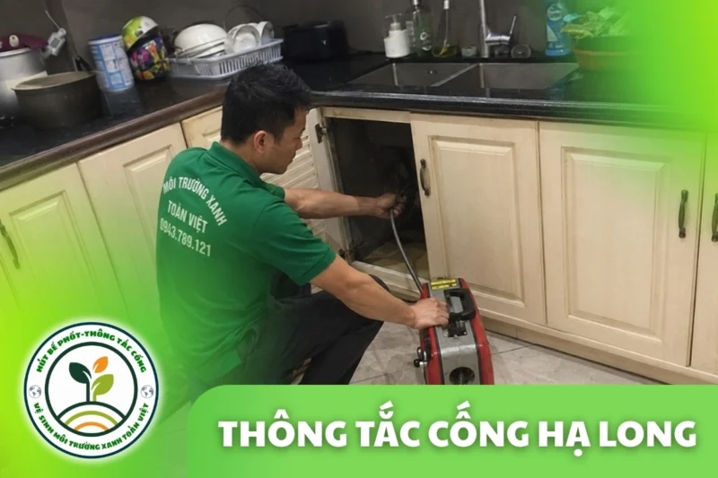 Thông Tắc Cống Tại Hạ Long Quảng Ninh 24/7 | Môi Trường Xanh