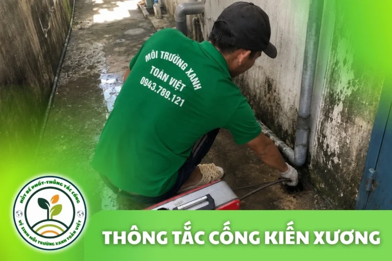 Thông Tắc Cống Kiến Xương 24/7, Báo Giá Trước Khi Làm