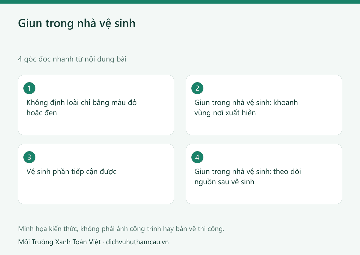 Giun trong nhà vệ sinh xuất hiện từ đâu? Cách xử lý nguồn phát sinh 2 Infographic giun trong nhà vệ sinh: bốn góc đọc nhanh theo nội dung bài