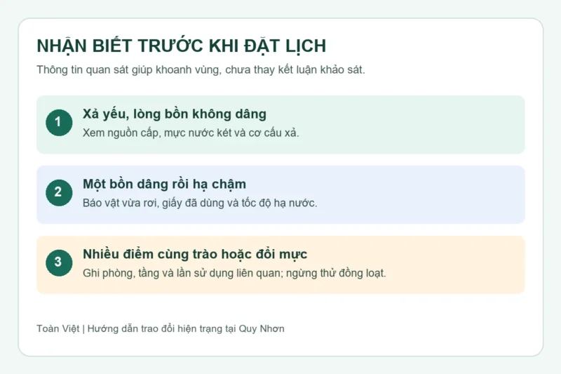 Sơ đồ ba nhóm biểu hiện cần cung cấp khi đặt lịch tại Quy Nhơn